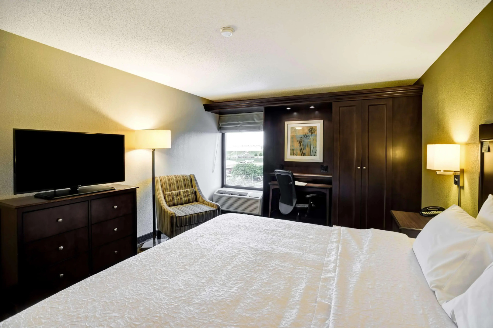 Hampton Inn Knoxville - Airport