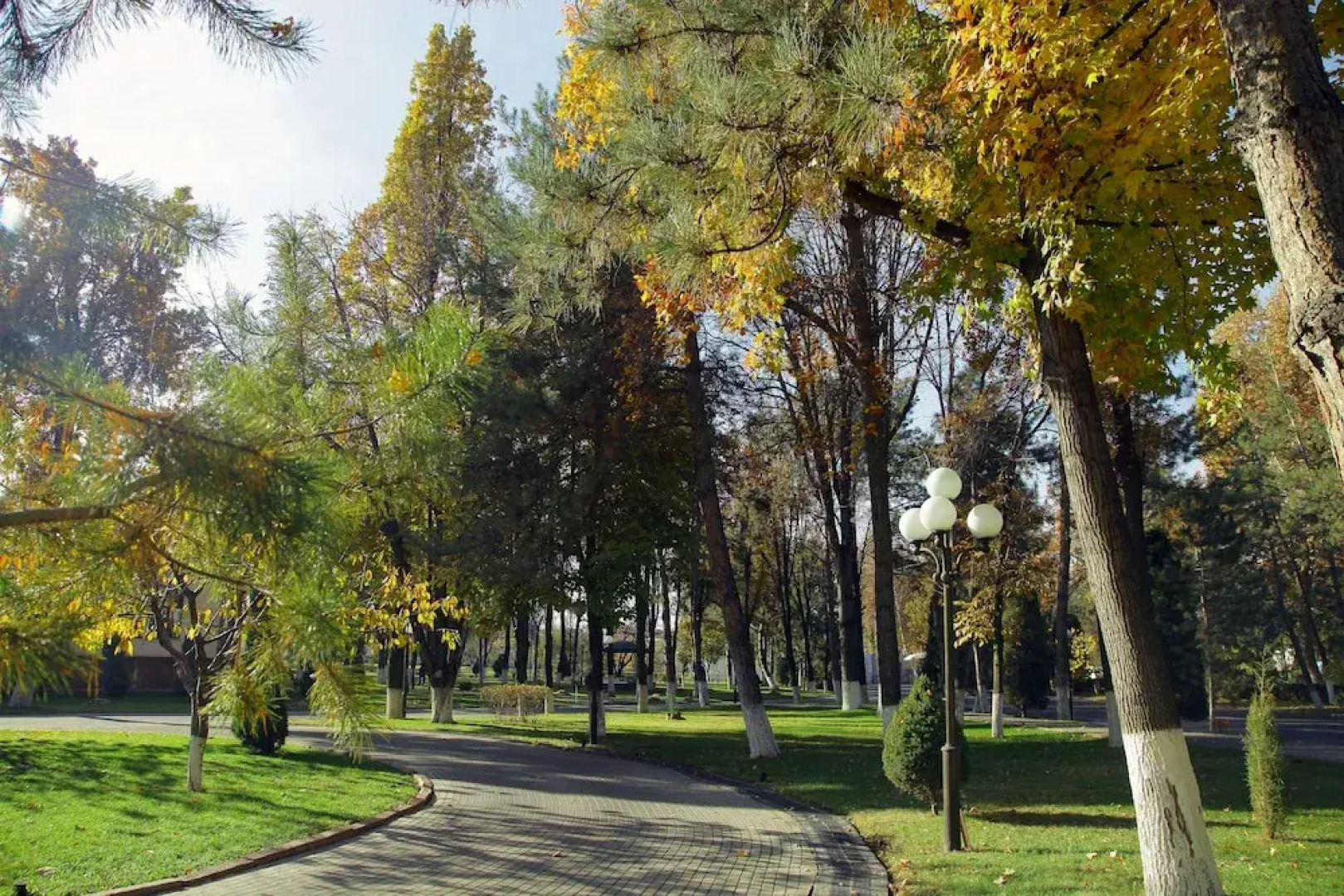 Отель Residence Park