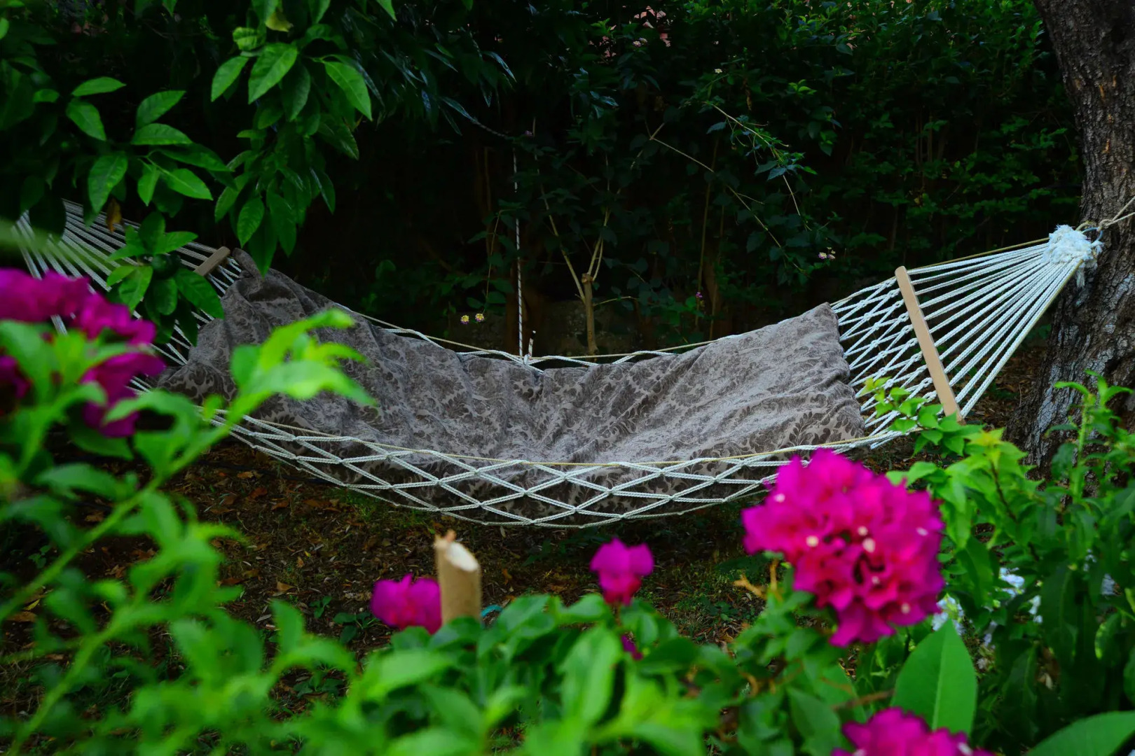 Golden Lighthouse Hotel