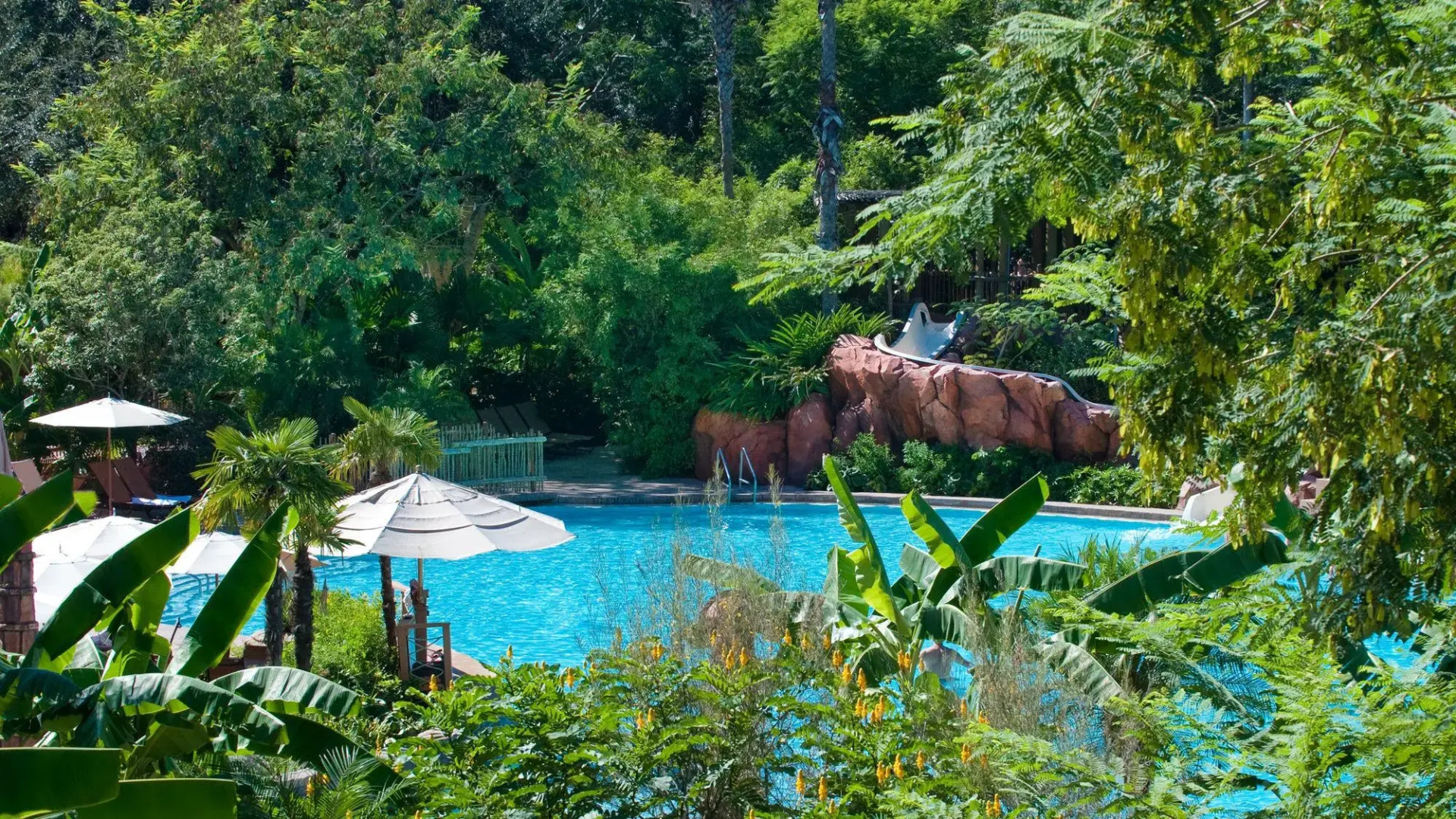 Disney's Animal Kingdom Villas - Kidani Village 