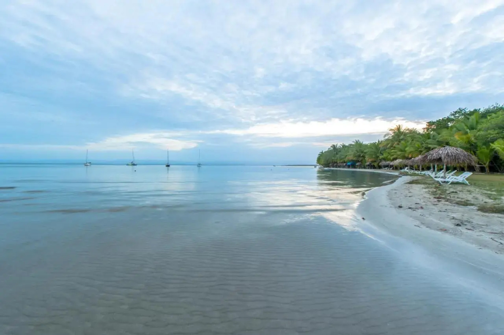 Bocas Condos Rentals