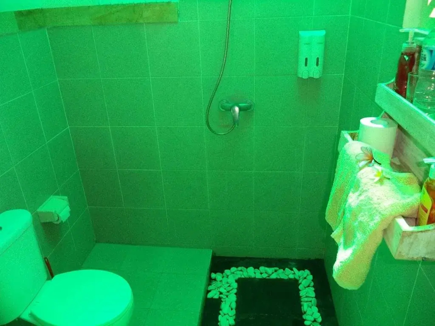 Paradise Palm Beach Bungalows