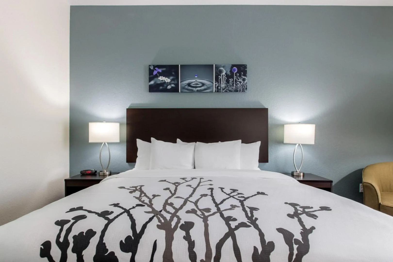 Sleep Inn & Suites Ankeny - Des Moines