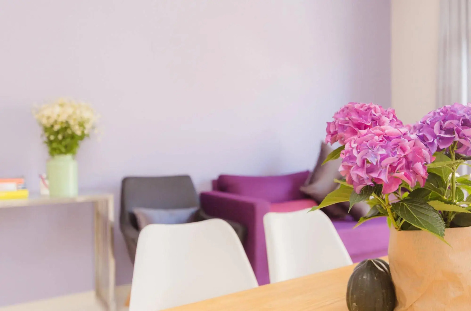 Stay Jaffa Jerusalem