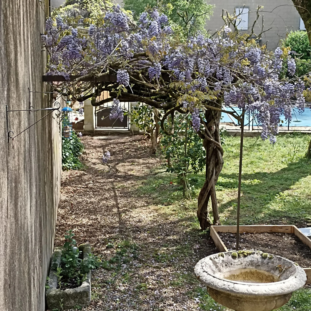 La Grande Maison Mazamet