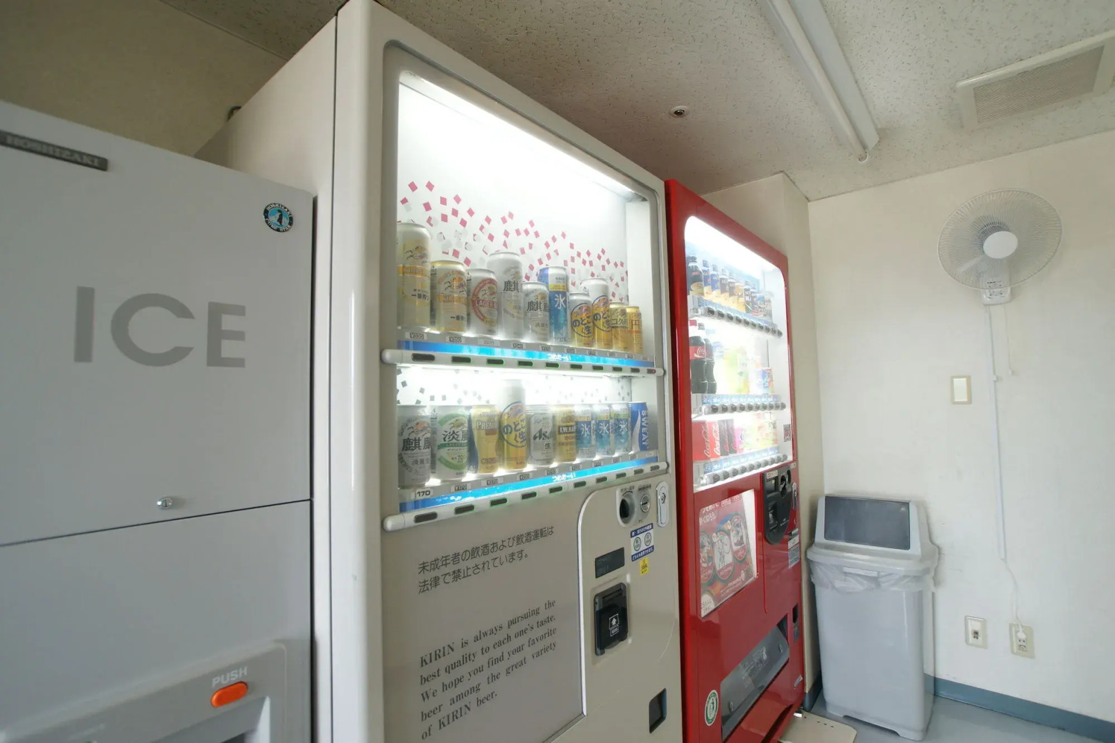 Shin Iizuka Station Hotel