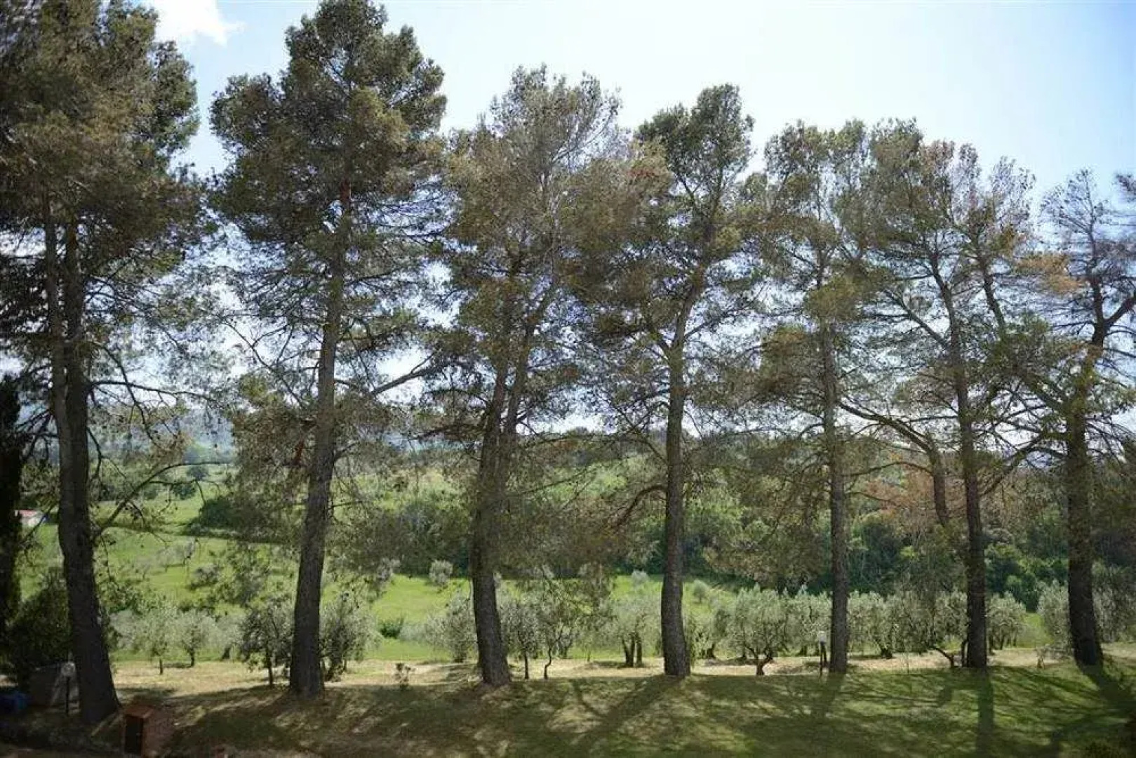 Residence San Francesco