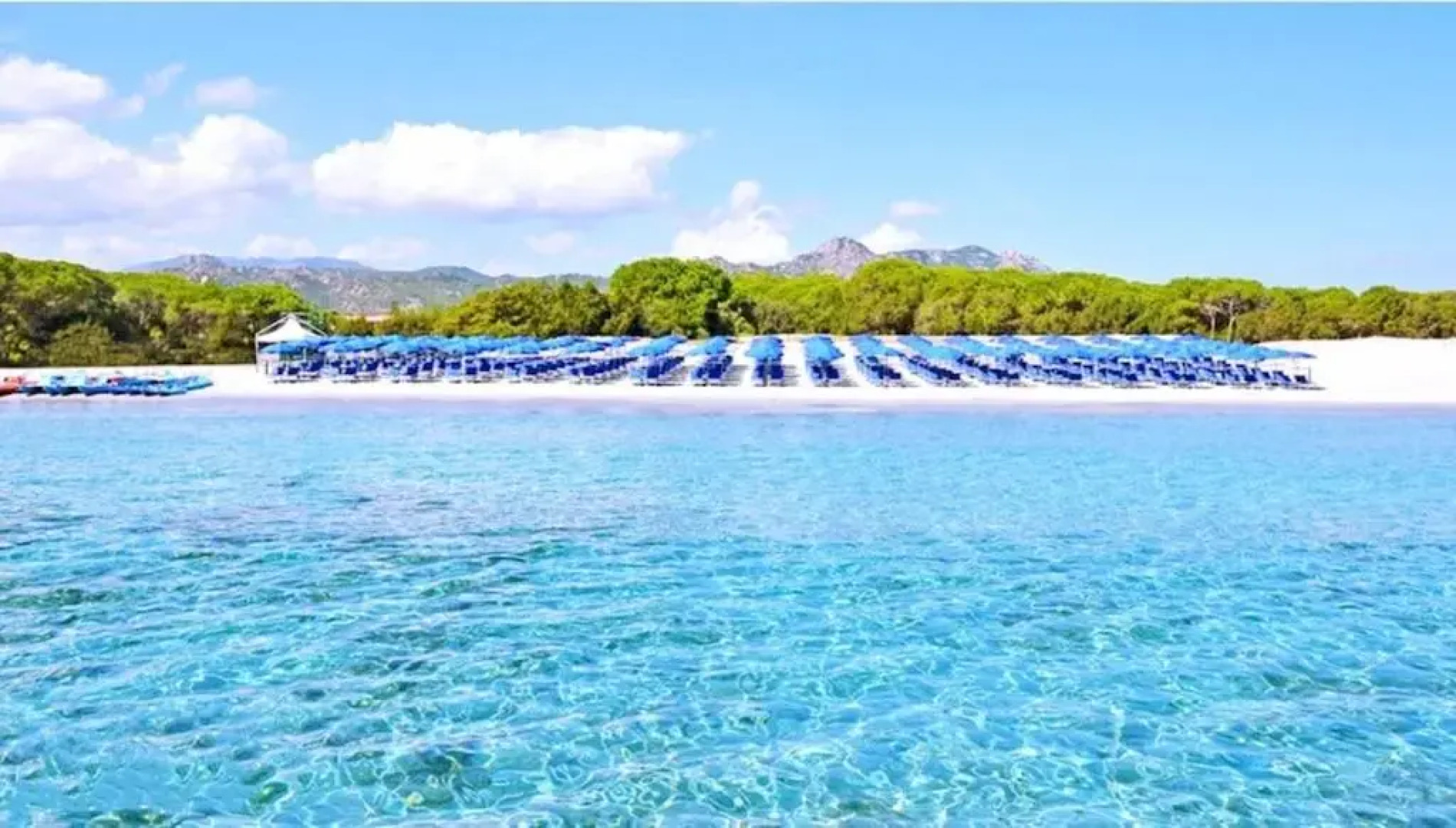 Villa Eden Beach per 8 persone a 50 metri dalla spiaggia con giardino