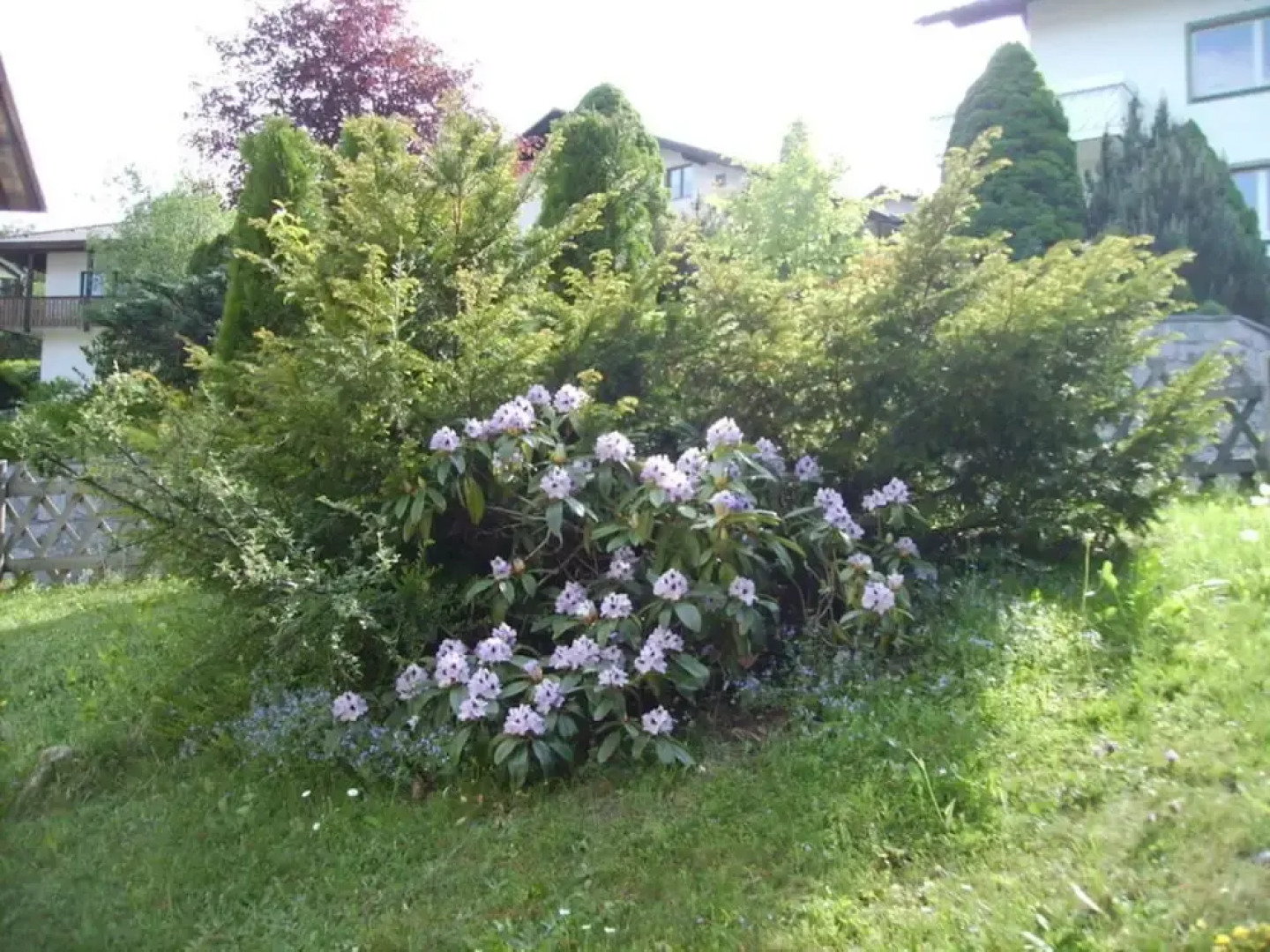 Vakantiehuis Becker-schmidt