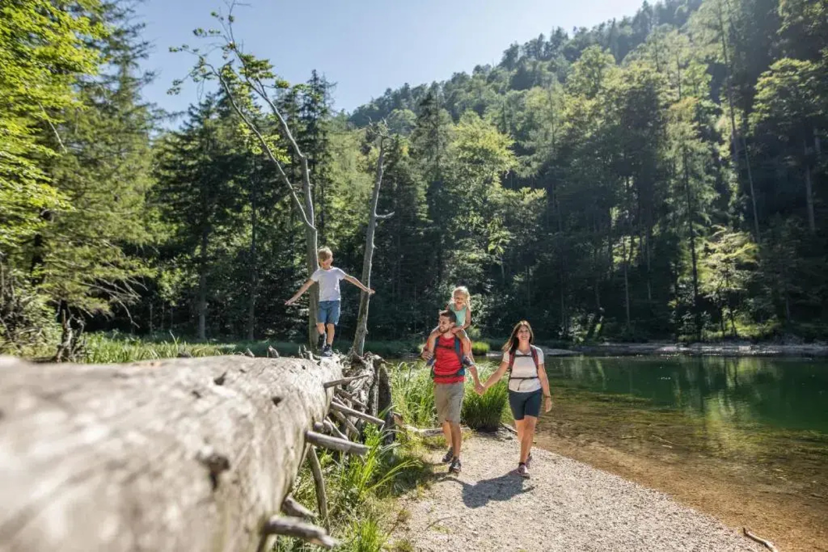 Hotel Landgasthof Fischerwirt