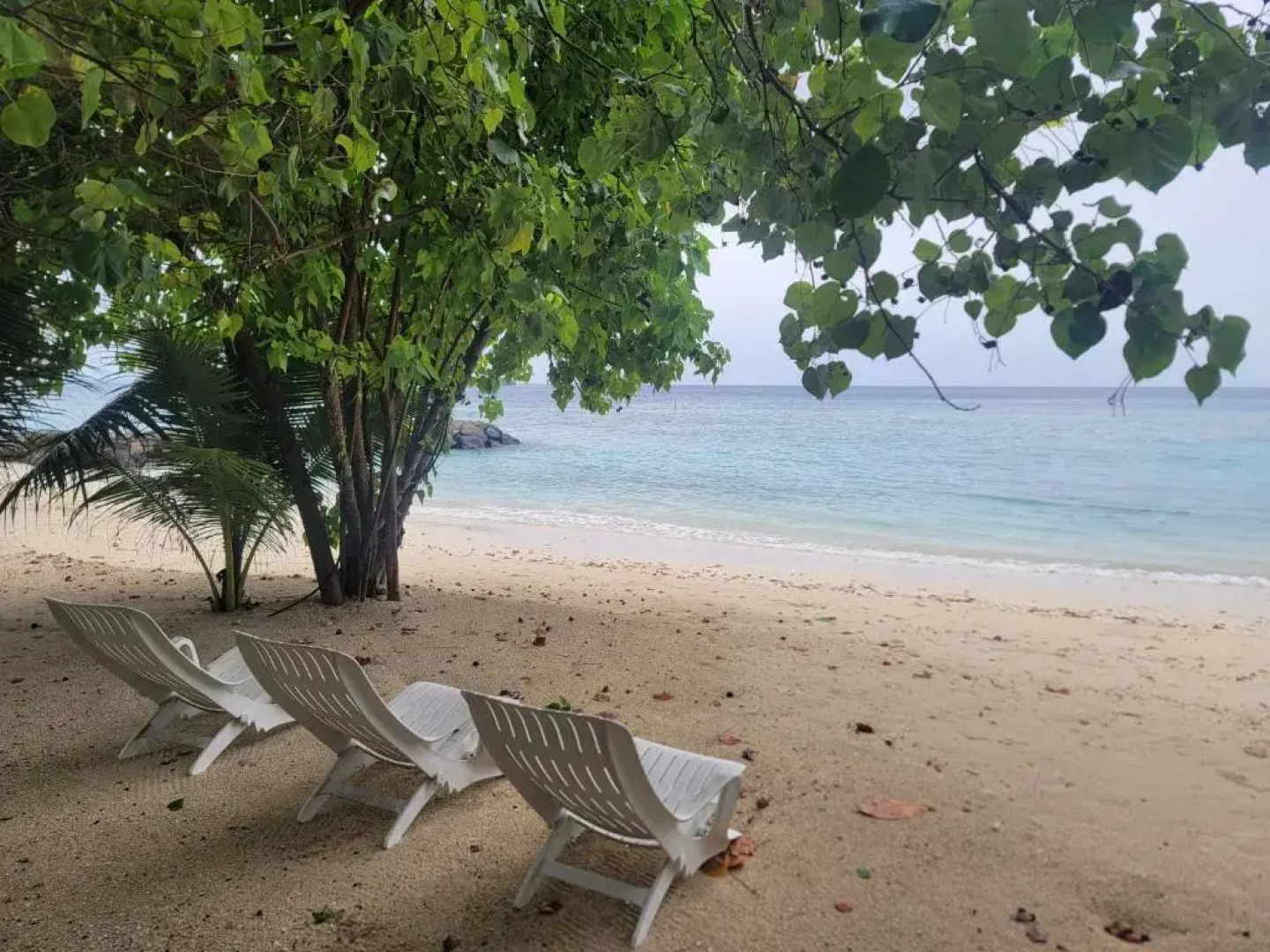 Отель Palm Residence