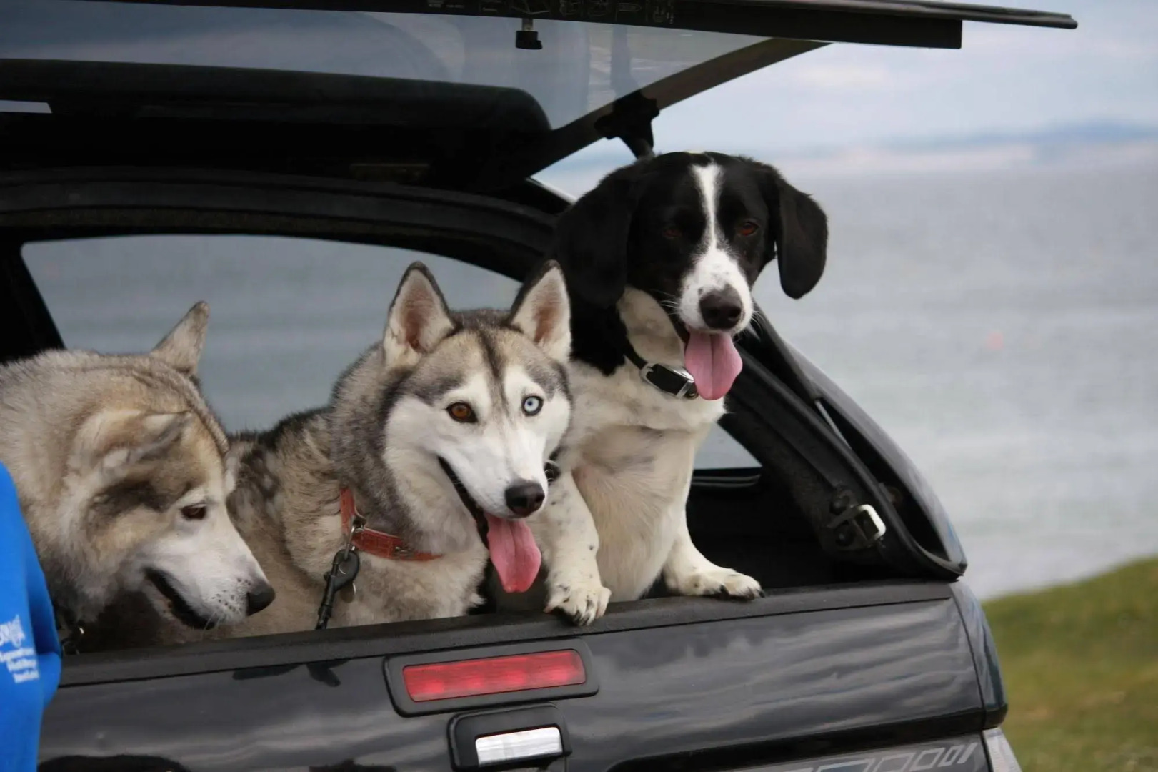 Portbeg Holiday Homes at Donegal Bay