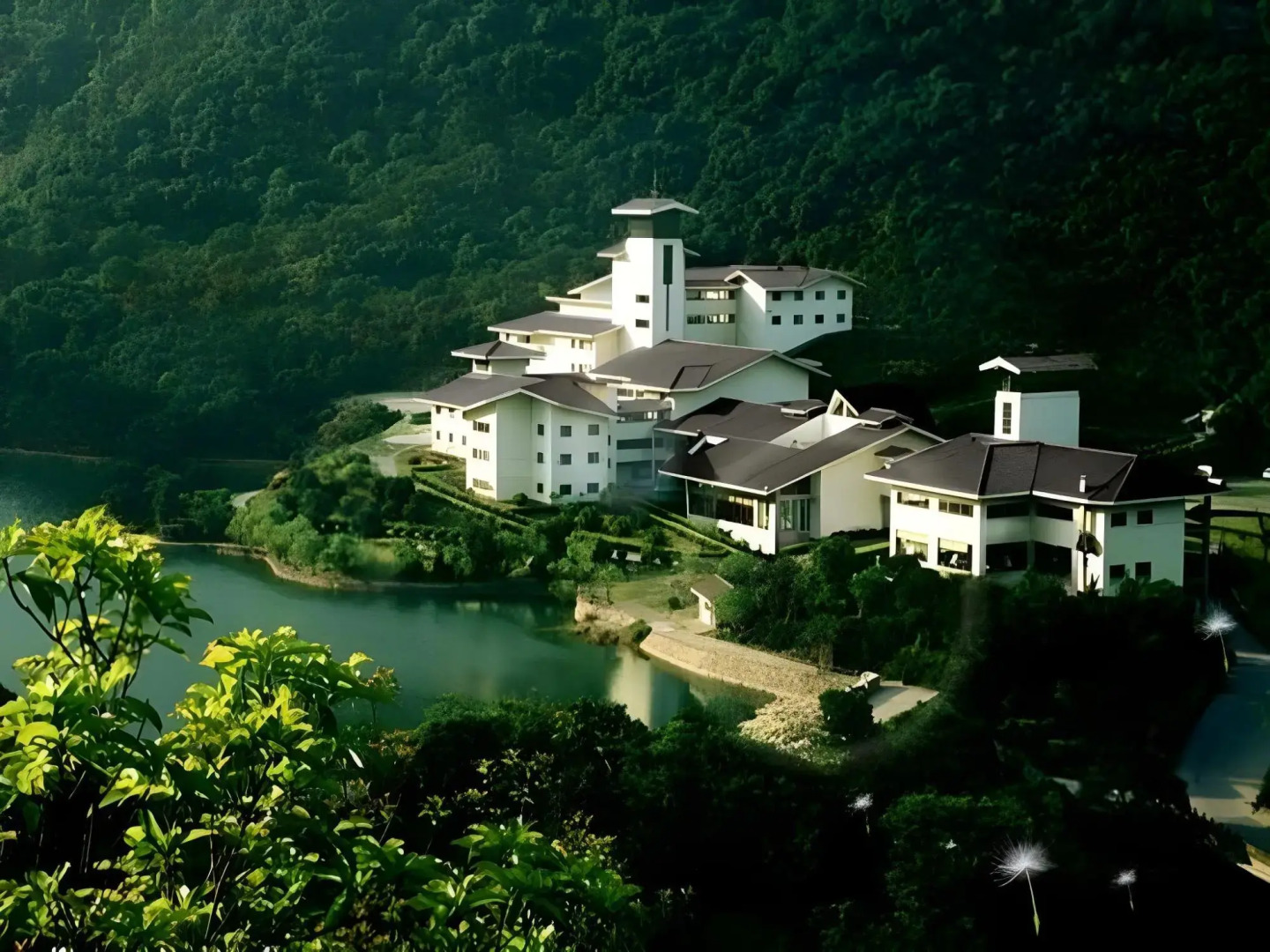 Yaoxi Dynasty Hotel