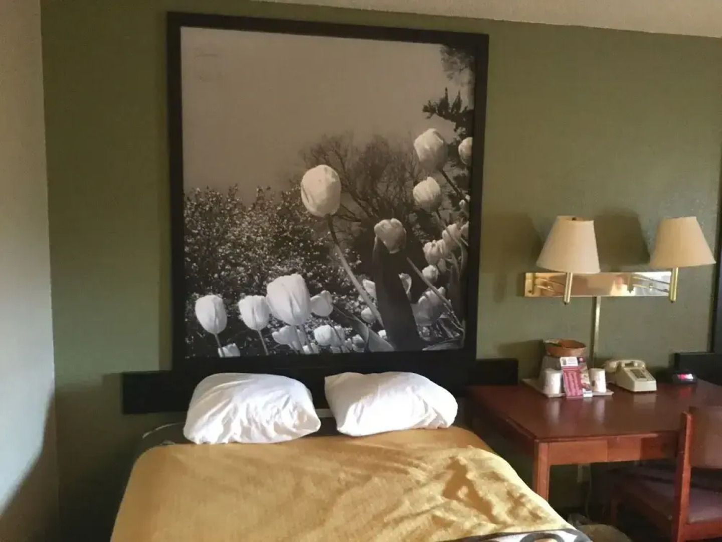 Super 8 Youngstown Austintown