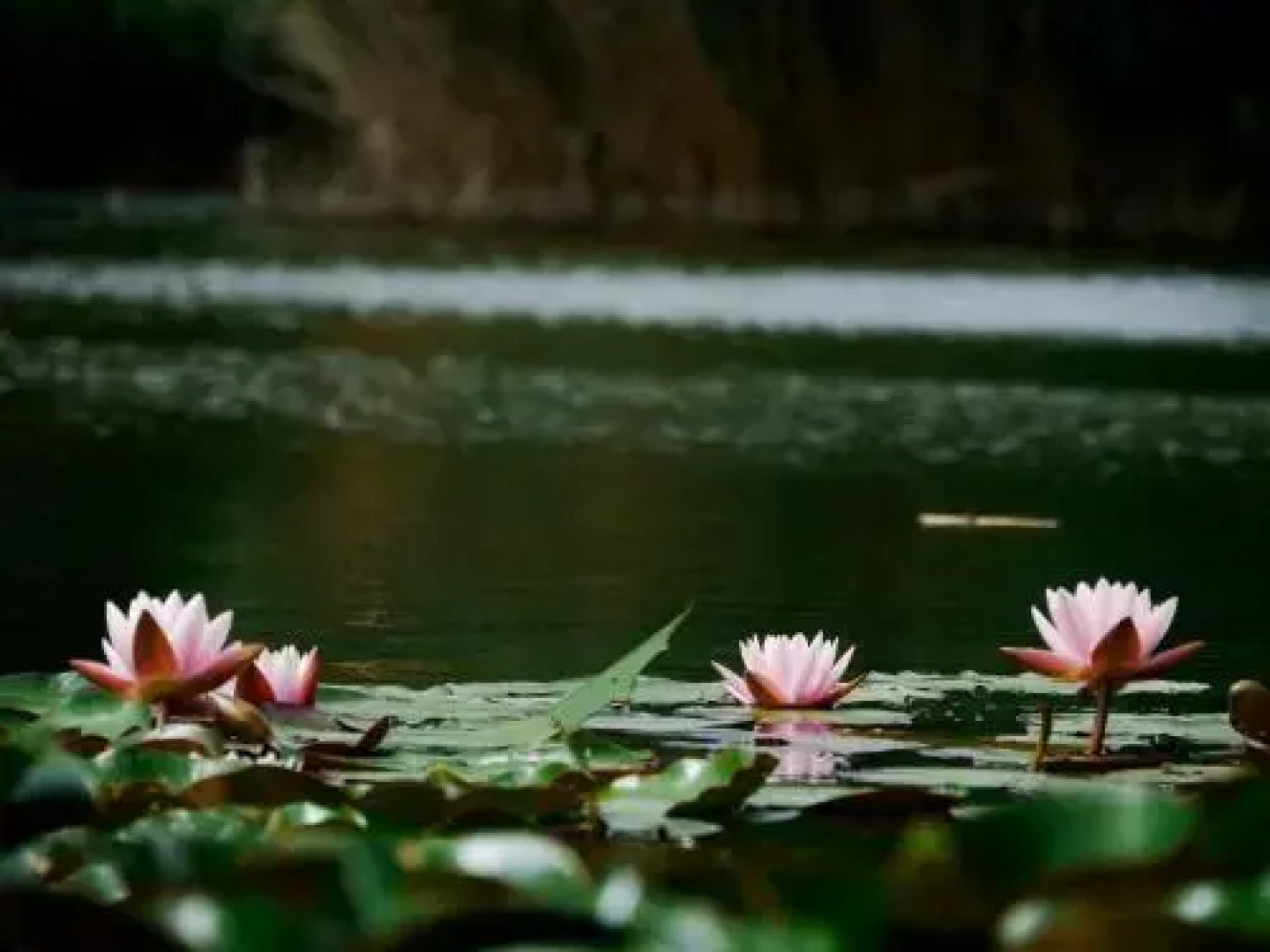 Szarvaskő Nyaraló/ Deer Rock Cottage