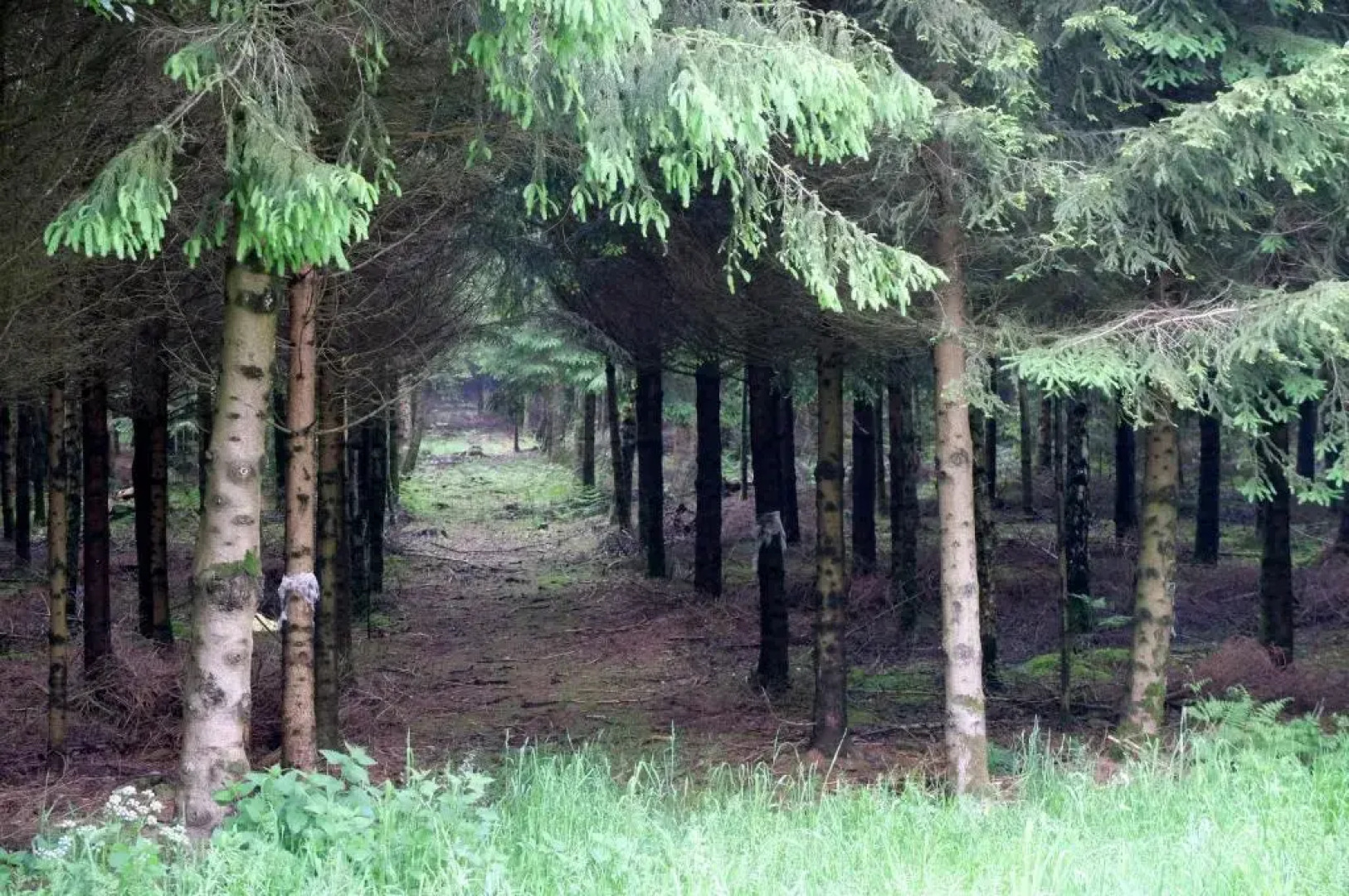 Maison d hôtes "Aux Légendes d Ardenne"