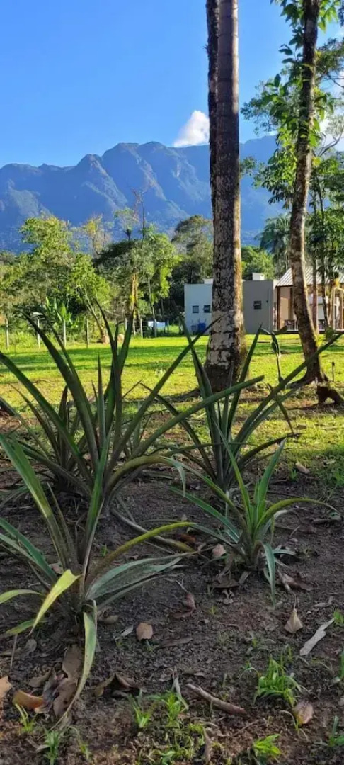 Vila do Porto Morretes