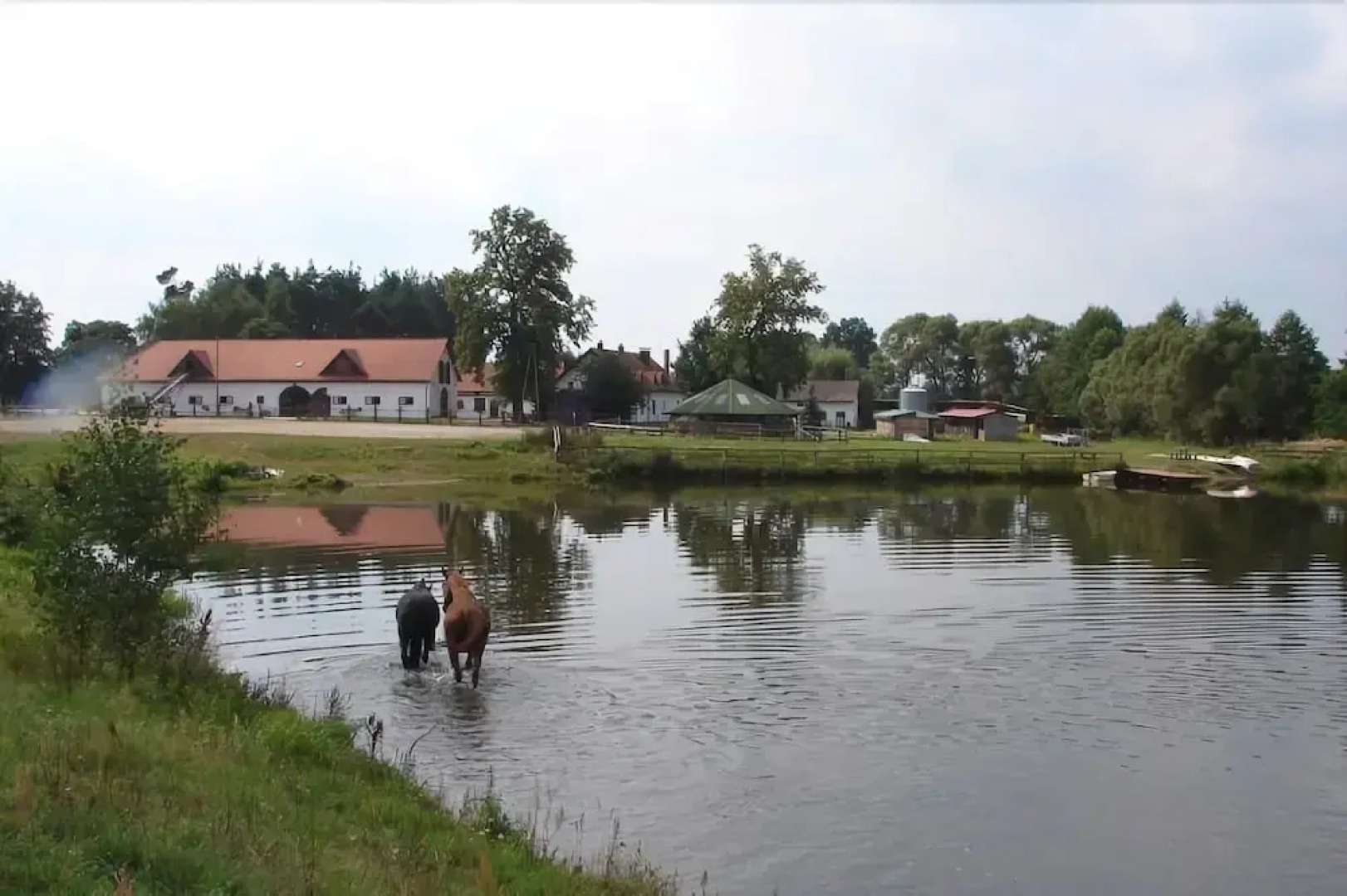 Osrodek jezdziecki Borki Wielkie