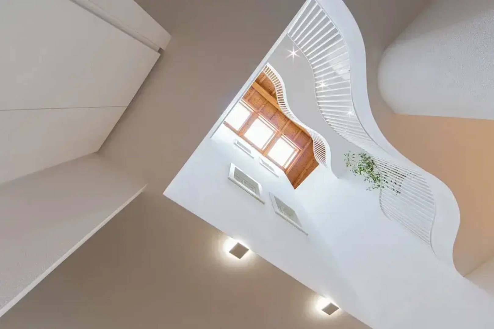 Cavaedium Guest House