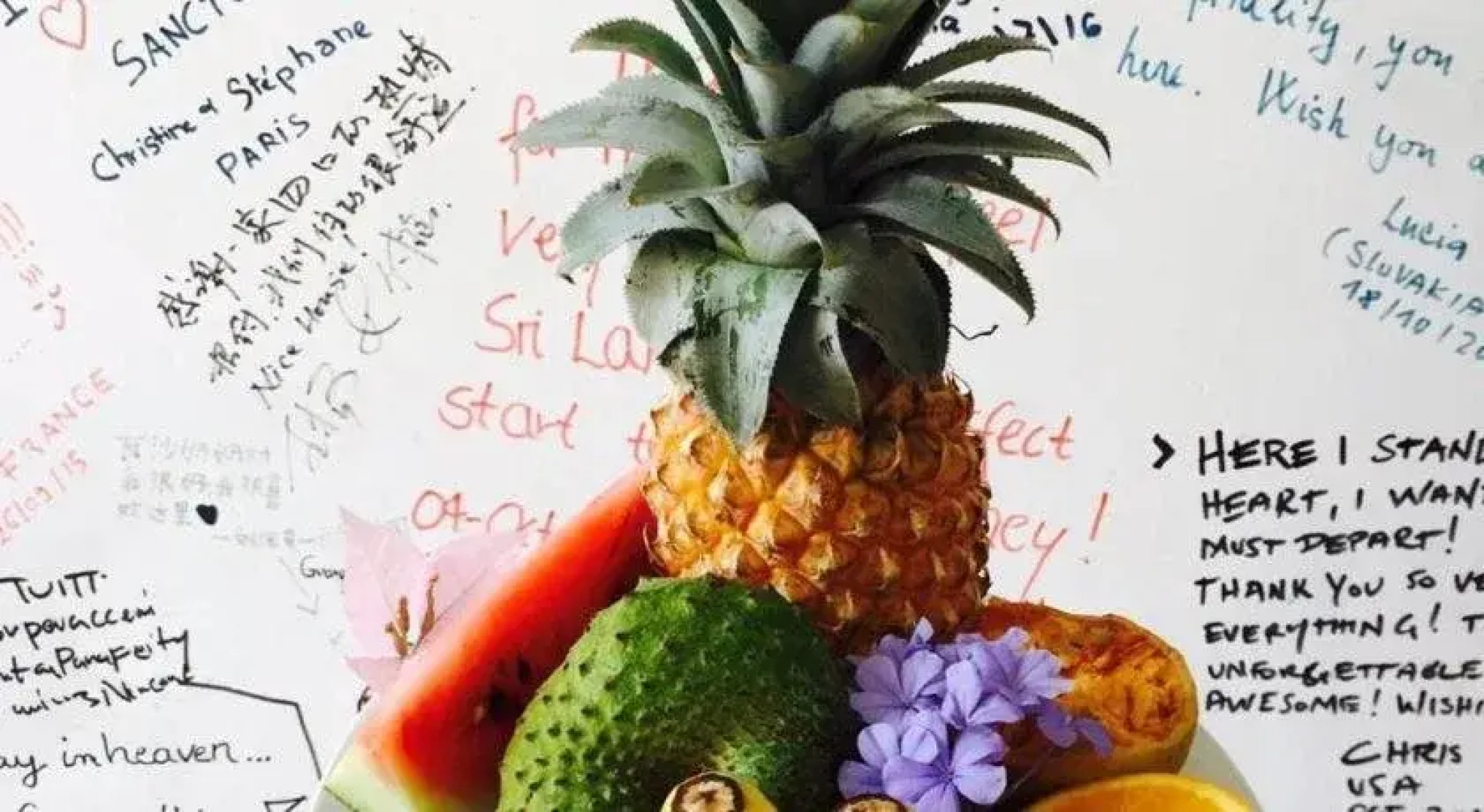 Sanctuary Cove Guest House