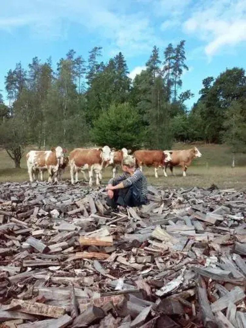 Slagesnäs Bed & Breakfast