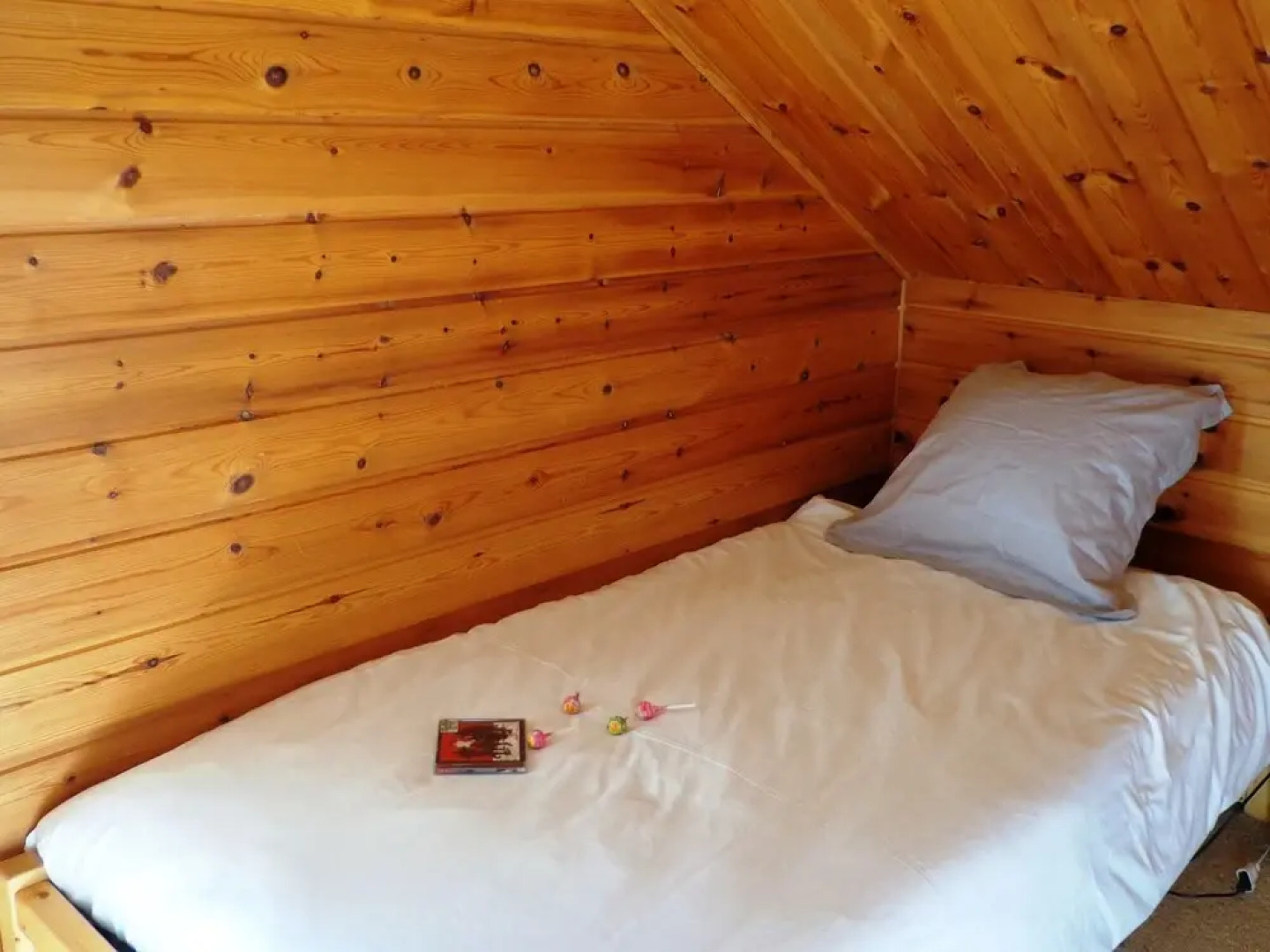 Exquisite Chalet in Rhone Alpes With Swimming Pool