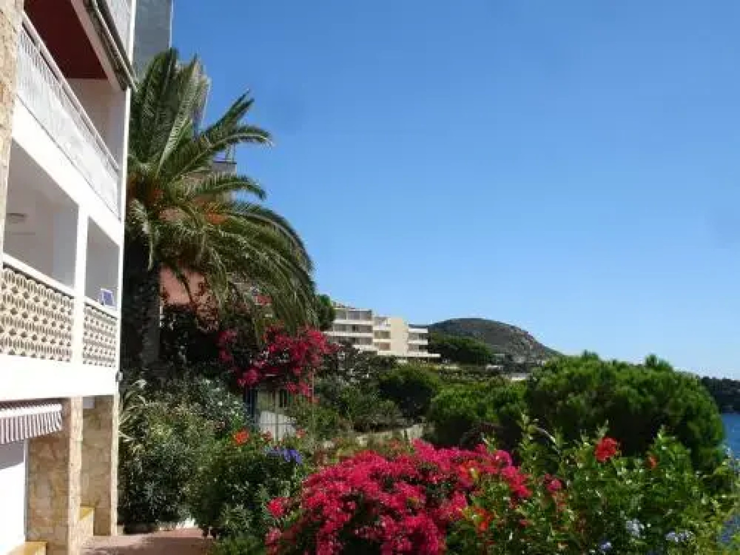 Apartament Belvedere