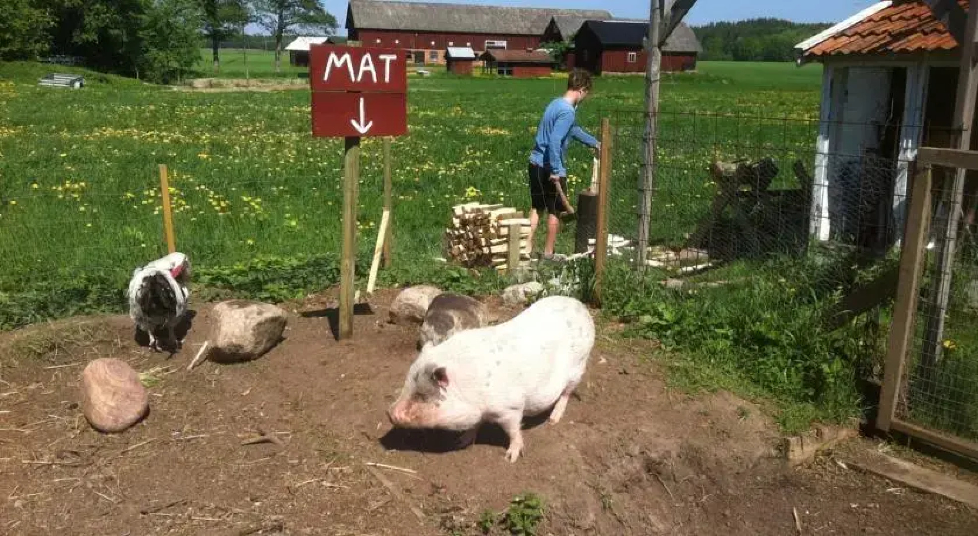 Äventyrsgårdens Vandrarhem, Kinnekulle