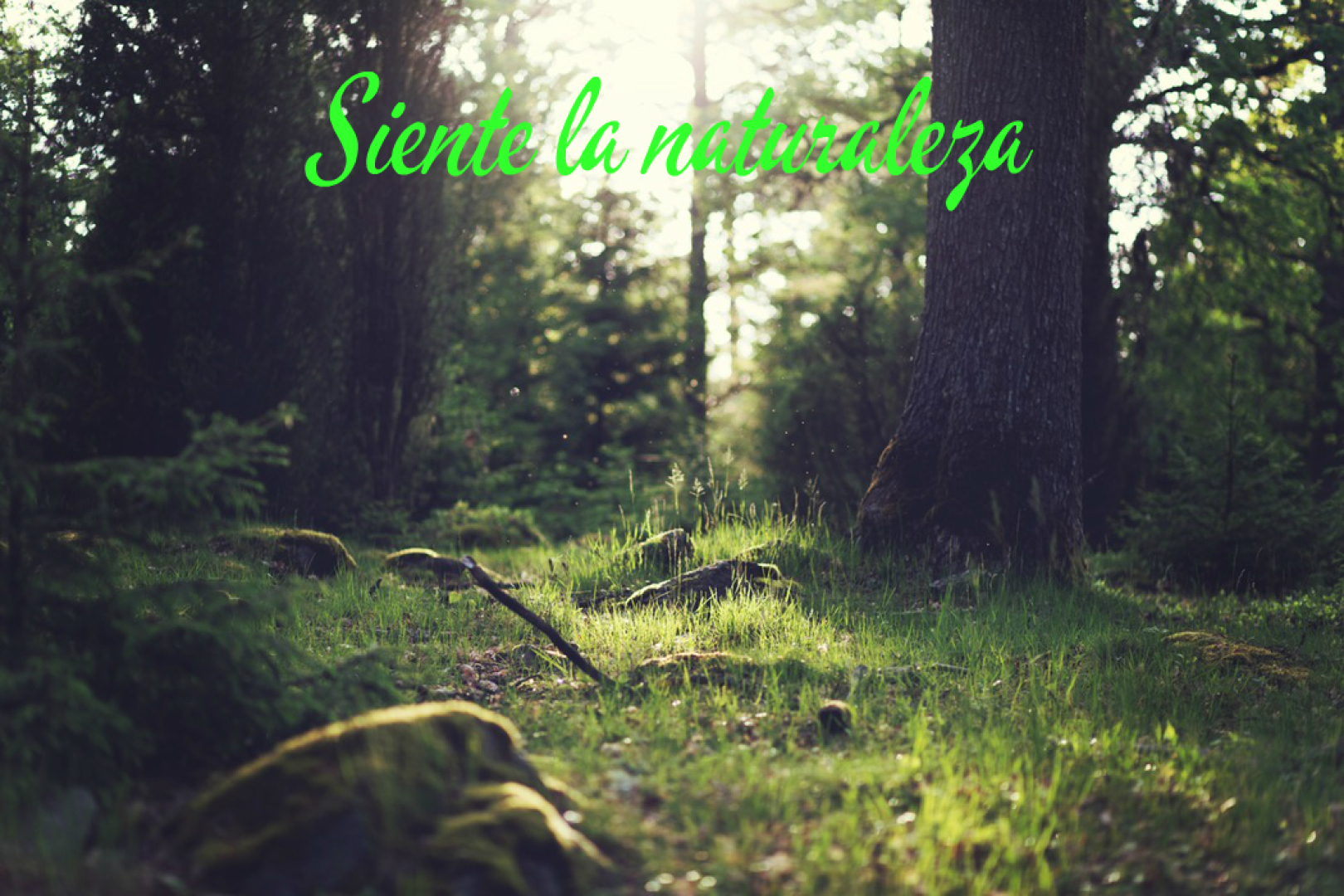 Rural Vado Del Duraton Htr 40/556