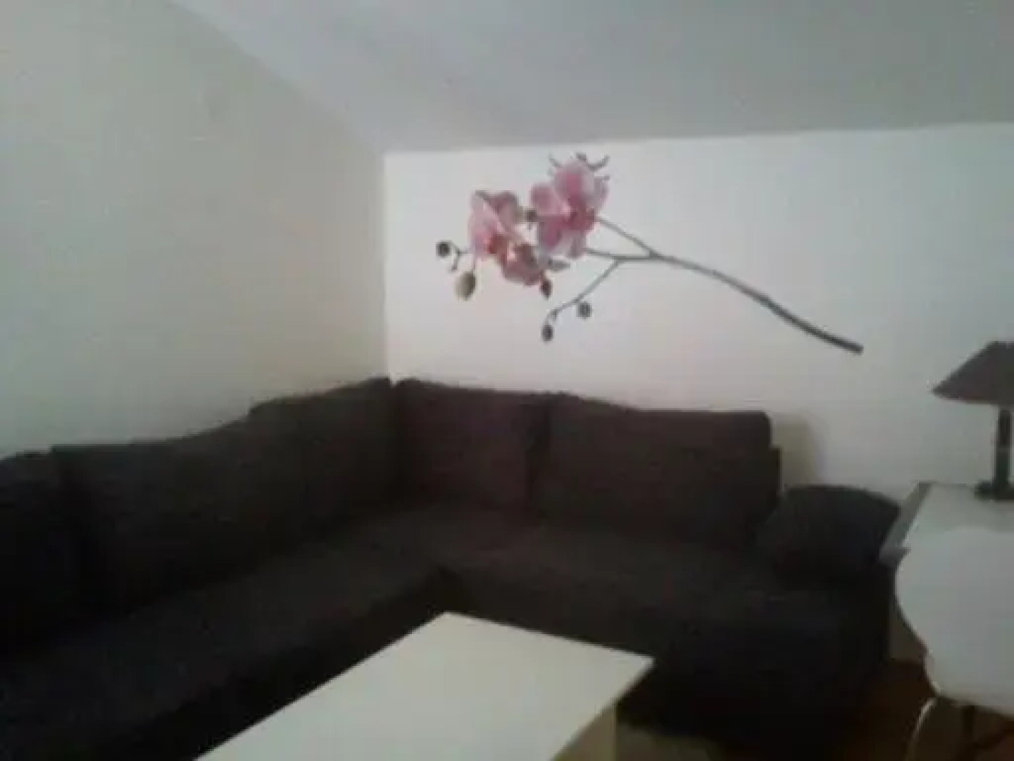 Apartment Zelenčić