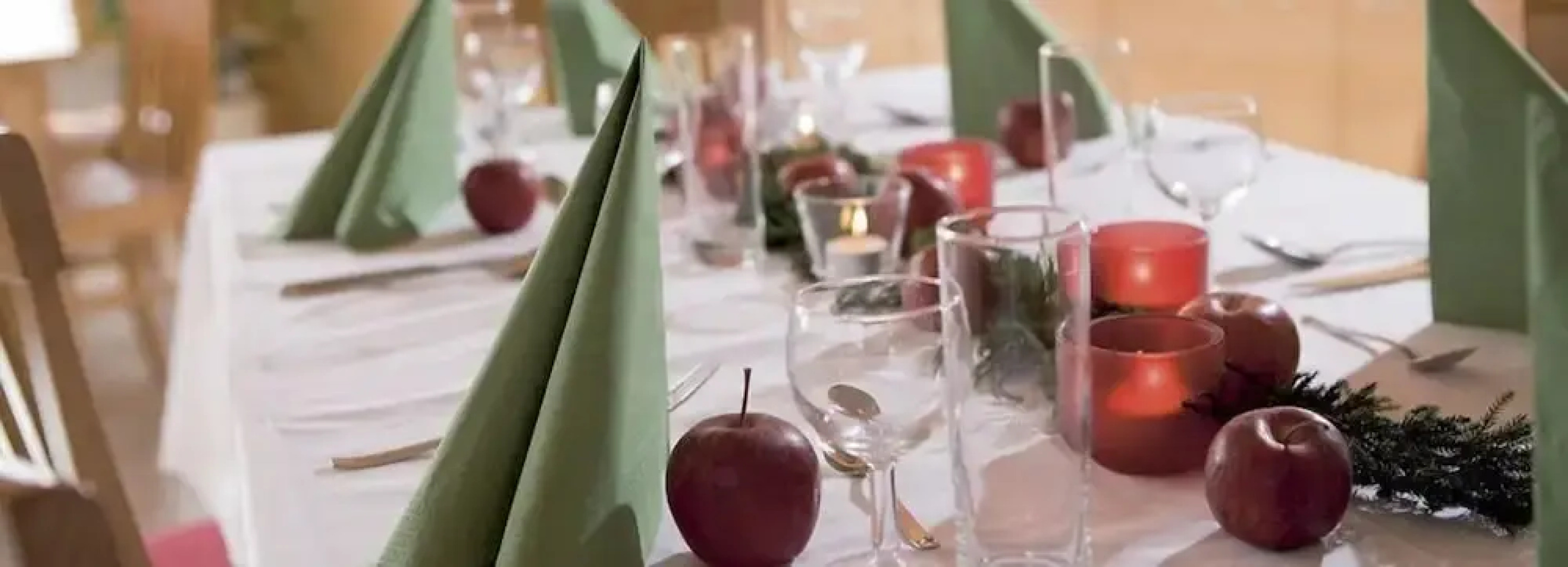 JUFA Hotel Donnersbachwald