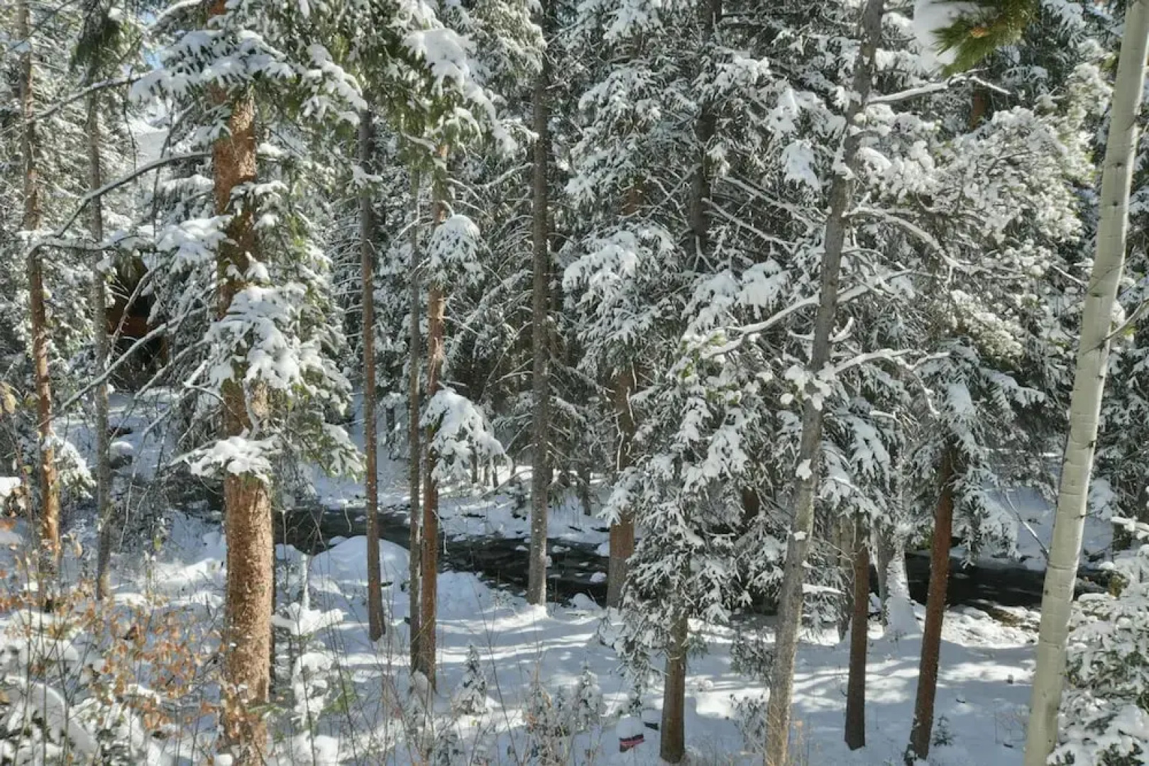 Modern River Front Luxury Chalet by Winter Park Escapes