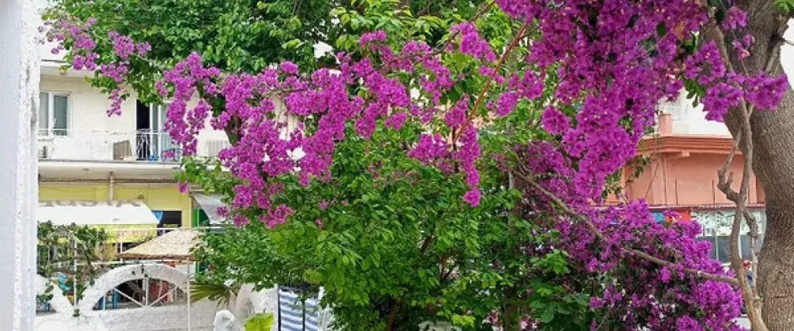 Villa Fortin Pansiyon