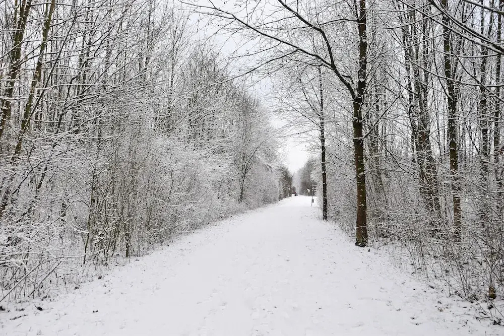 F Hotel 24h Check-In