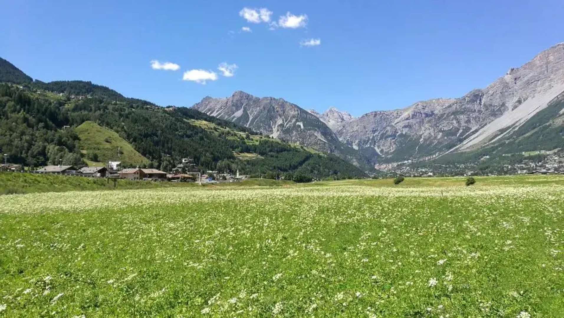 Appartamento Federici