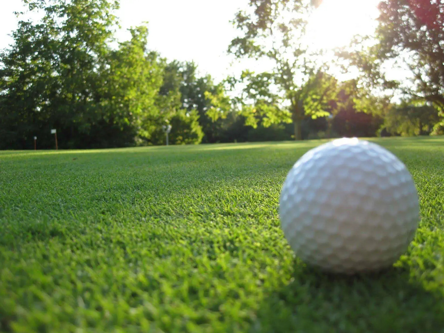 Hotel Maasberg Therme