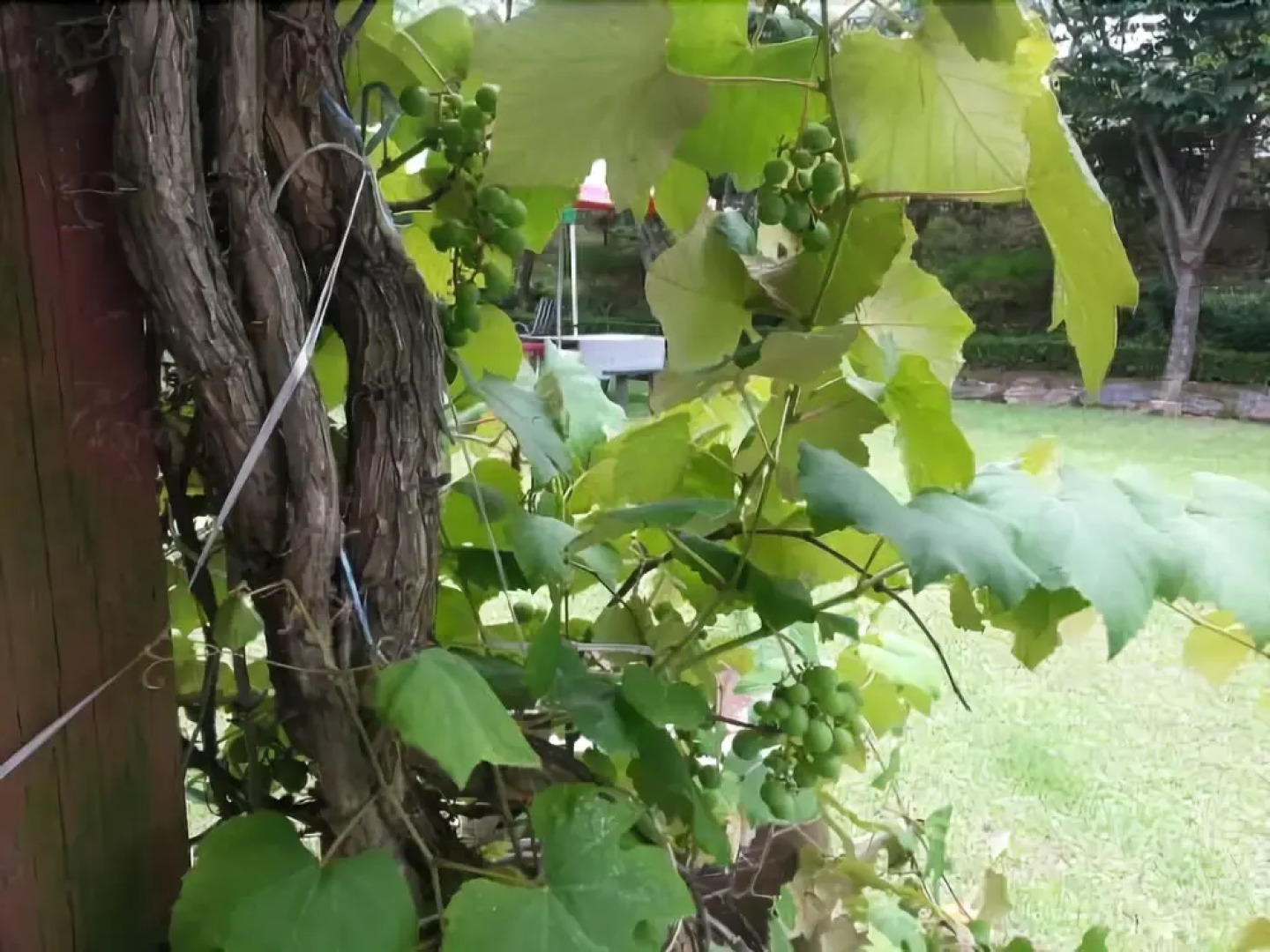 Yangpyeong Silver River Pension