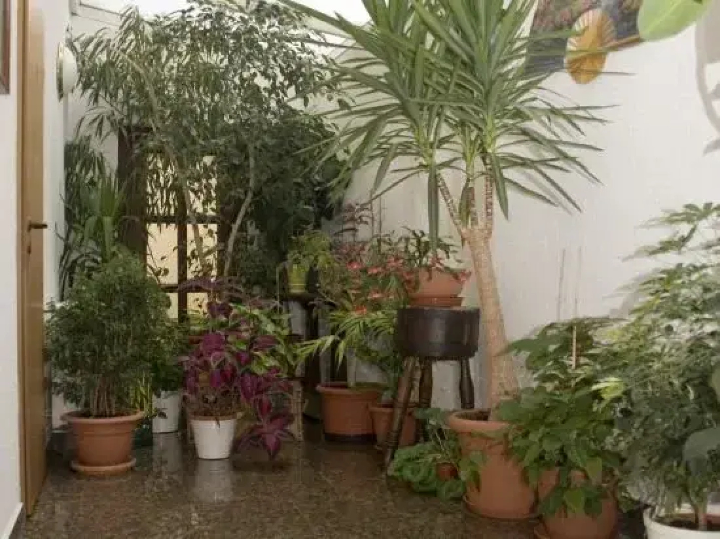 Hotel "Gasthaus zum Löwen"