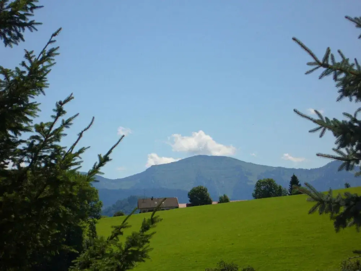 Haus Nett Modern Retreat