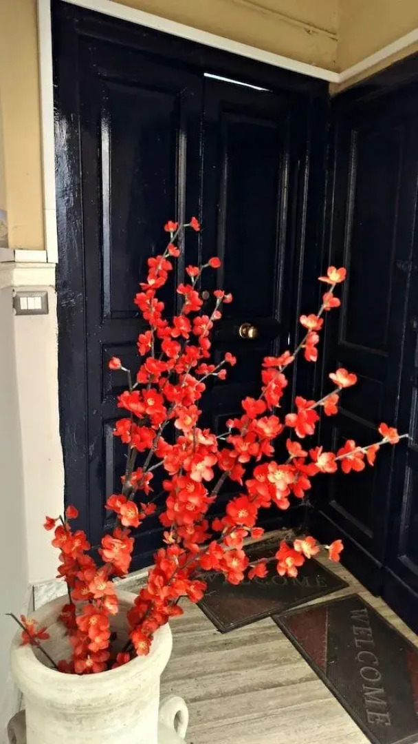 Port Village Vesuvius