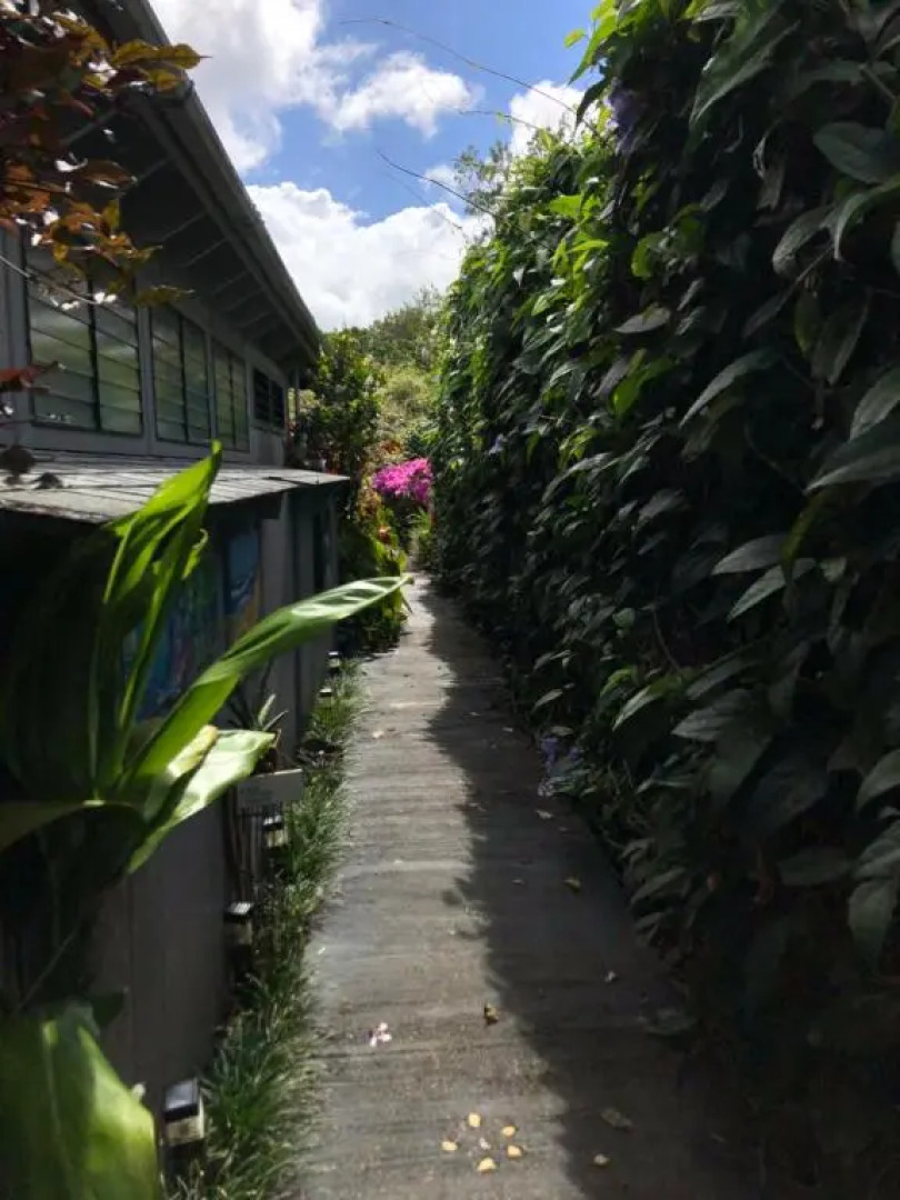 The Secret Garden Room