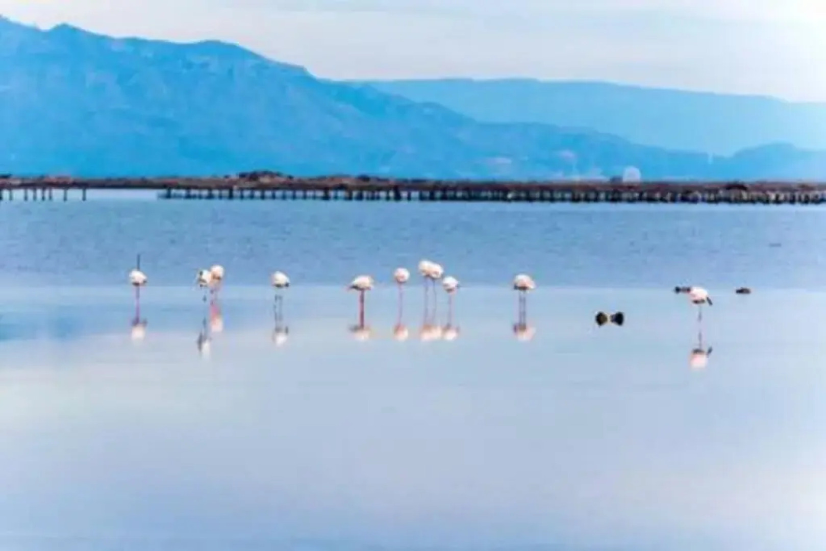 Apartament Lo Cor Del Delta