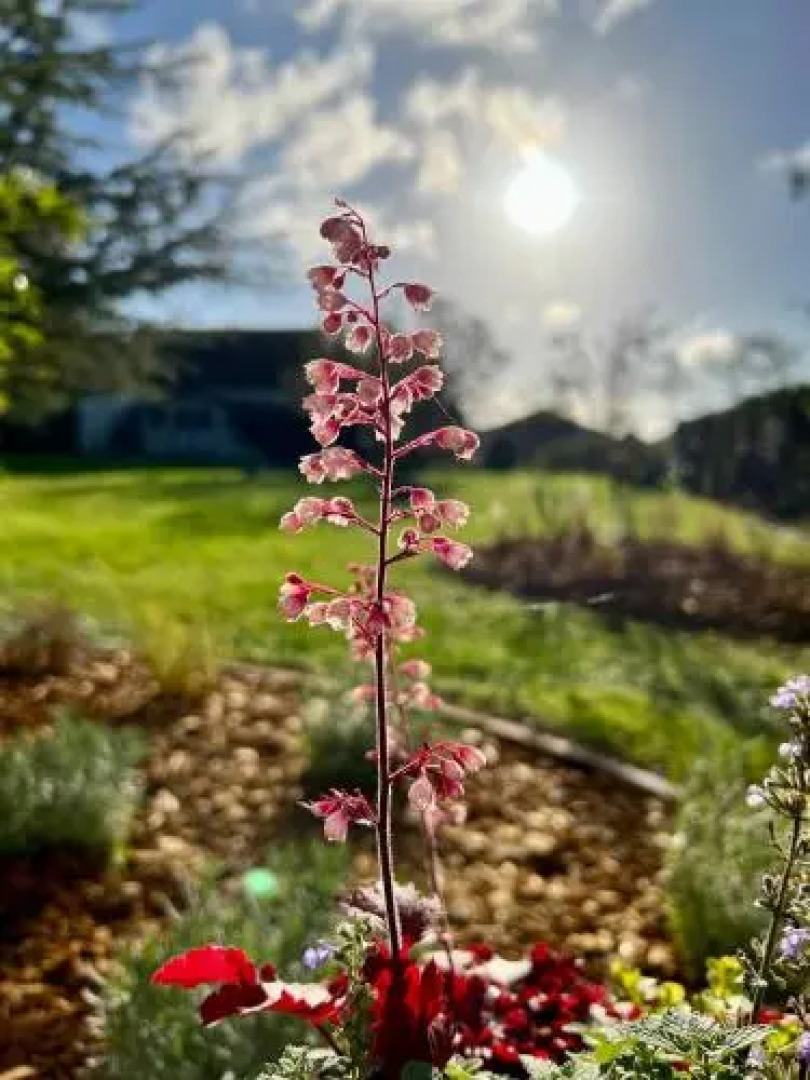Apparthôtel Le Clos du May