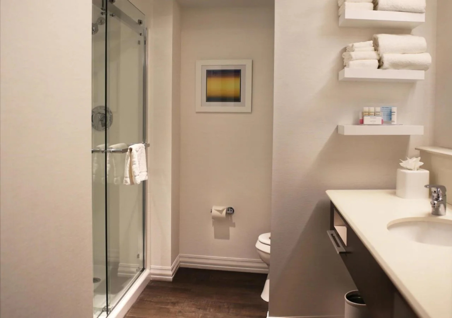 Hampton Inn Lexington Medical Center