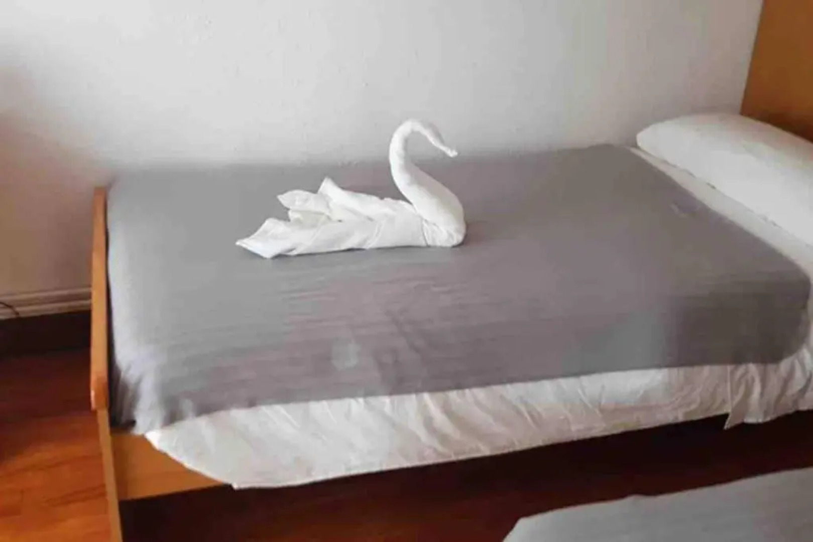 Arritokieta - ONGI ETORRI