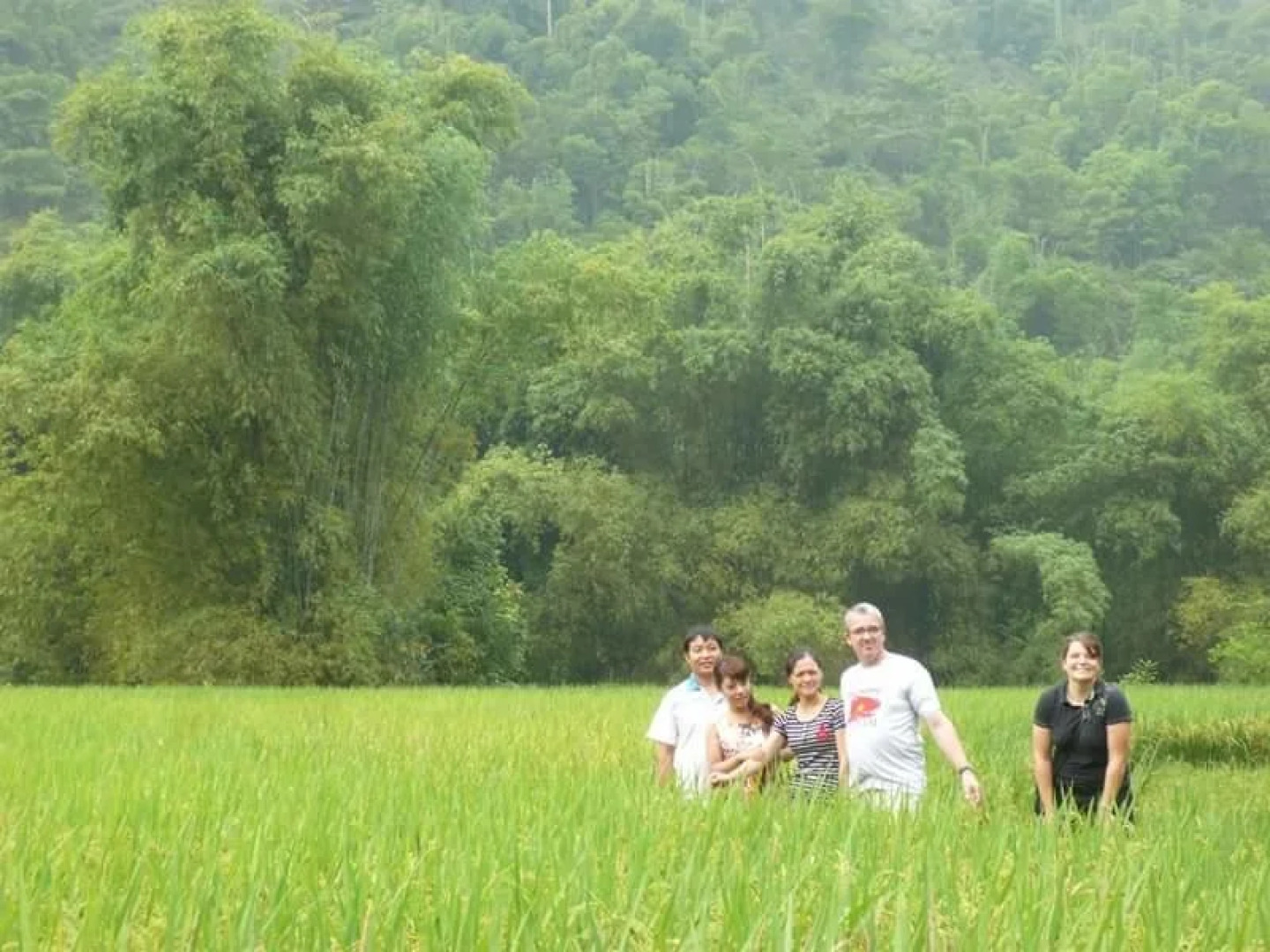 Eco Homestay - Hostel