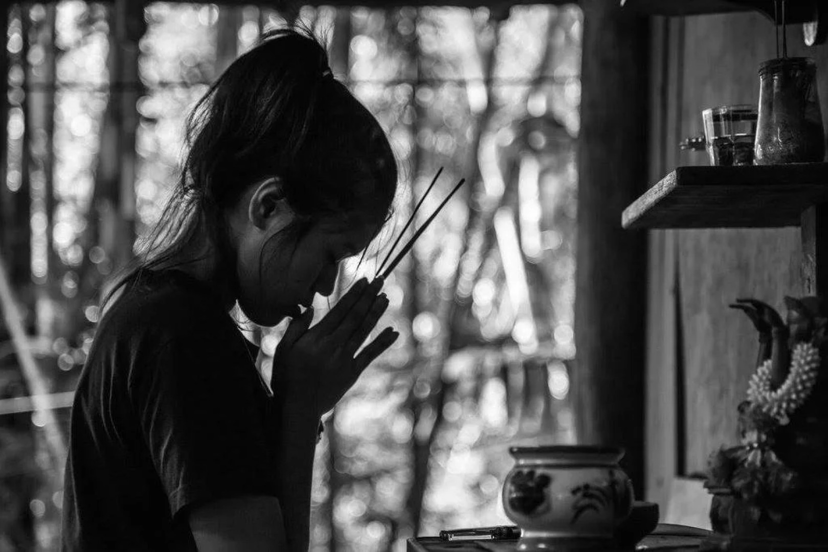 Monkey Mansion Jungalows and Tours