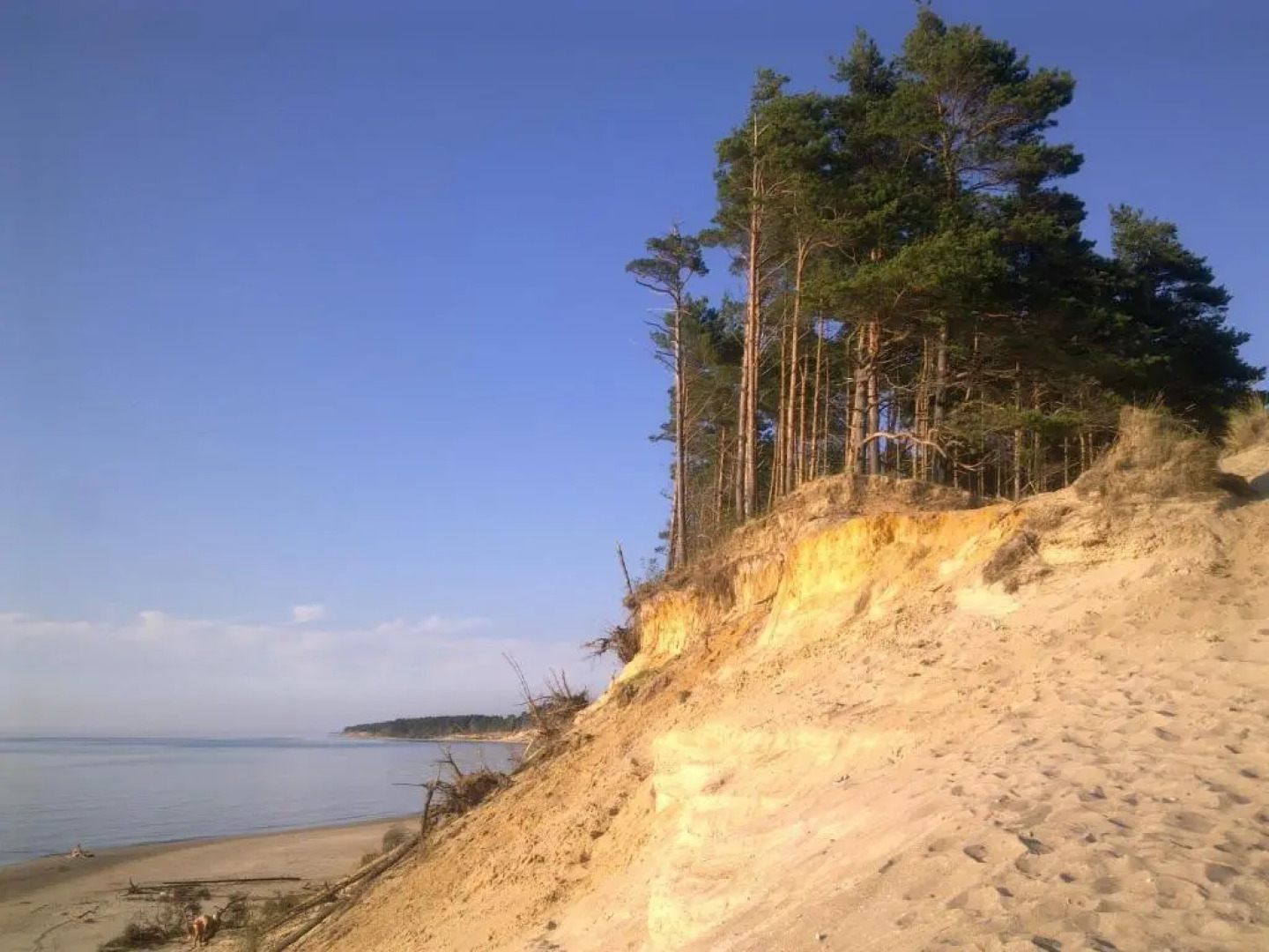 LD apartamenti, Jūras 4