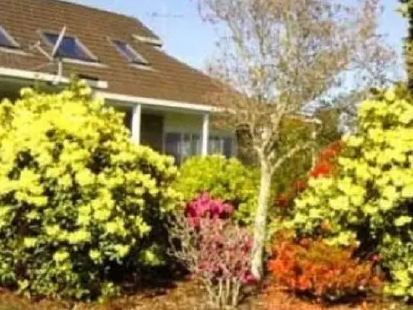 Lakeview Heights BB Farmstay