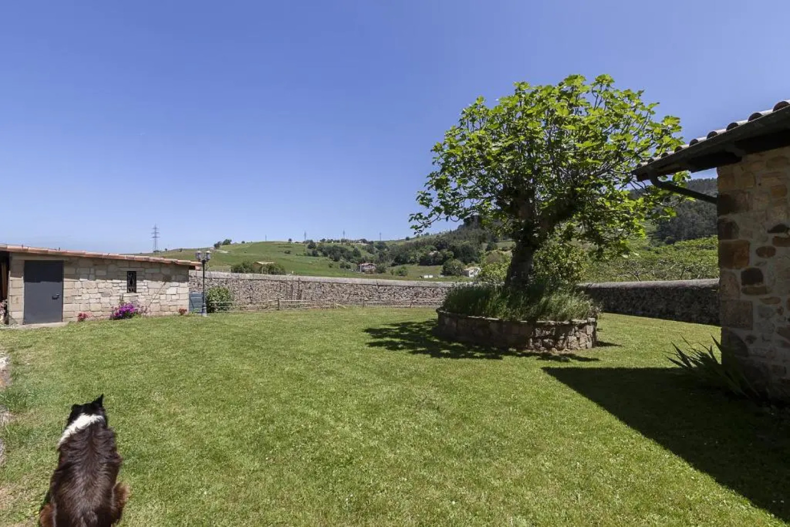 Apartamentos Y Posada El Cafetal